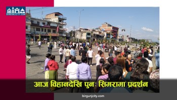 दोषिलाई कार्वाही नगरेको भन्दै सिमरामा विहानदेखि प्रदर्शन